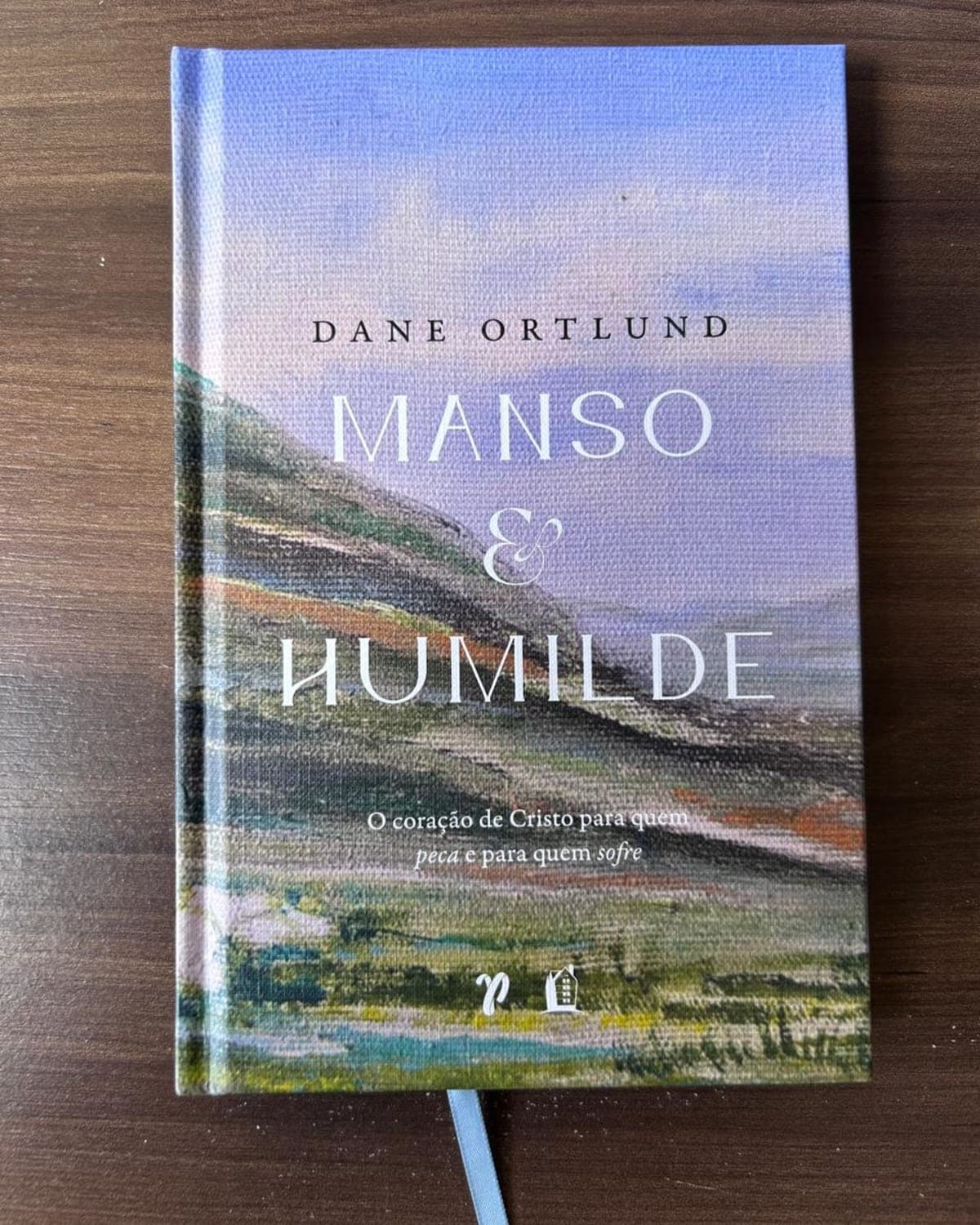 Manso e humilde: O Coração de Cristo para Quem Peca e para Quem Sofre