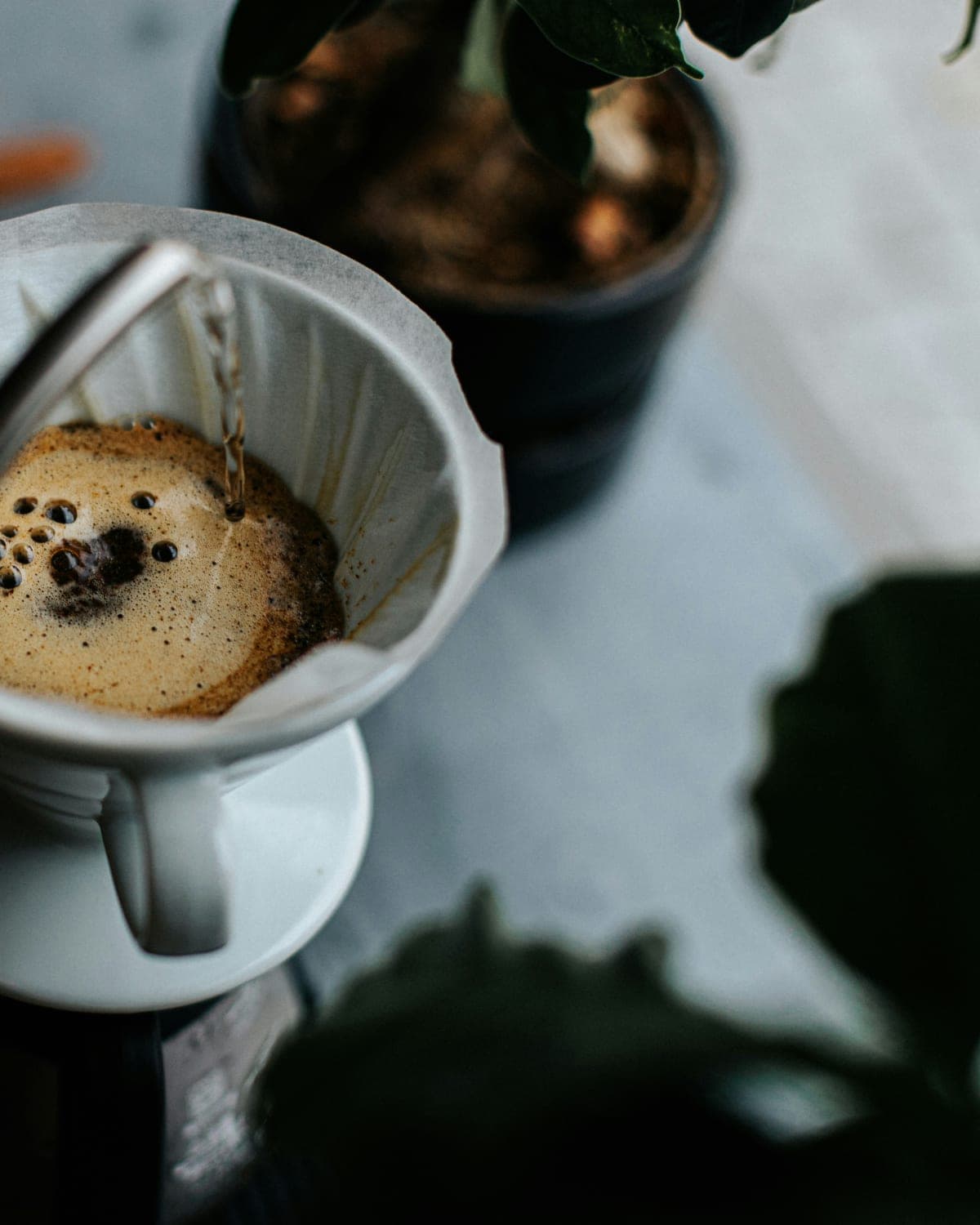 Como preparar um café especial em casa: o guia completo